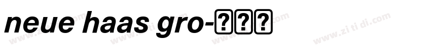 neue haas gro字体转换